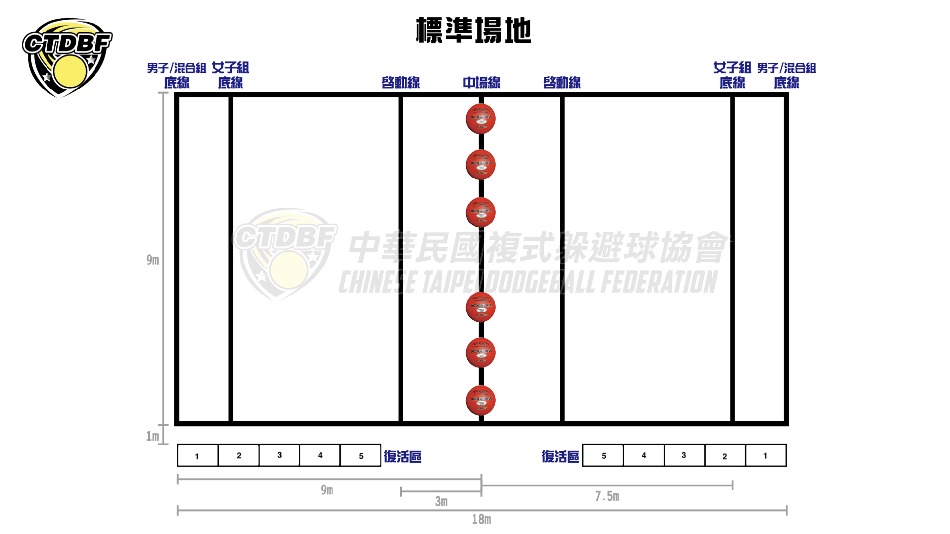 標準美式躲避球場
